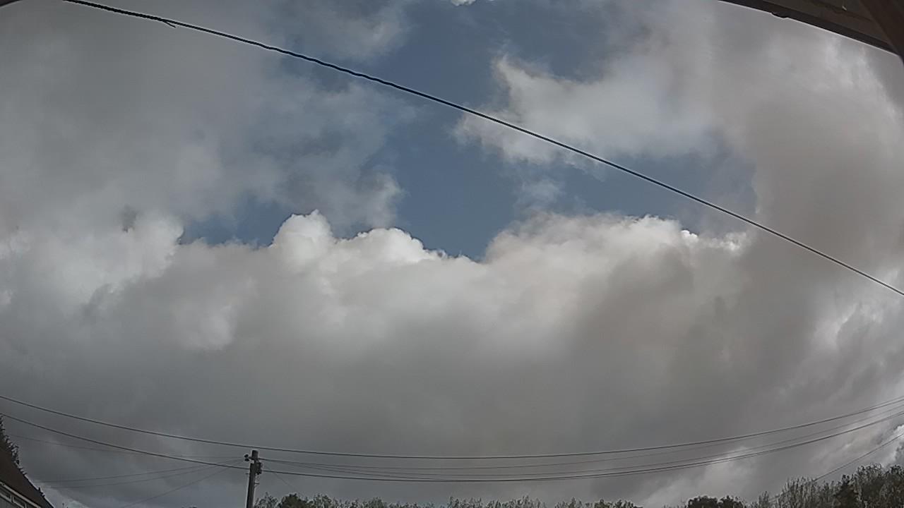 20260819_084115_cam2.jpg