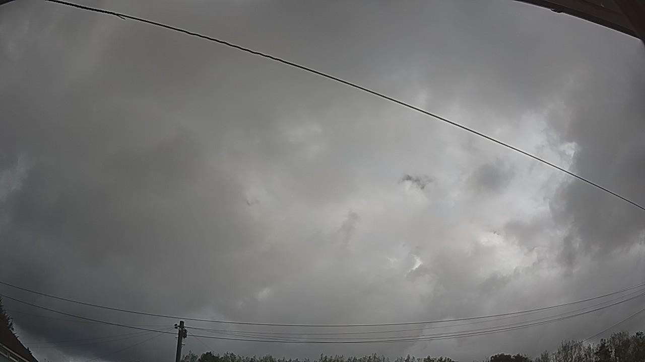 20260819_084533_cam2.jpg