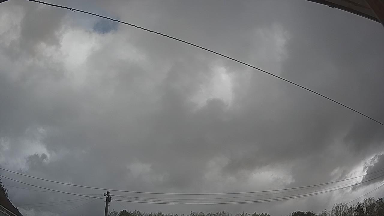 20260819_084951_cam2.jpg