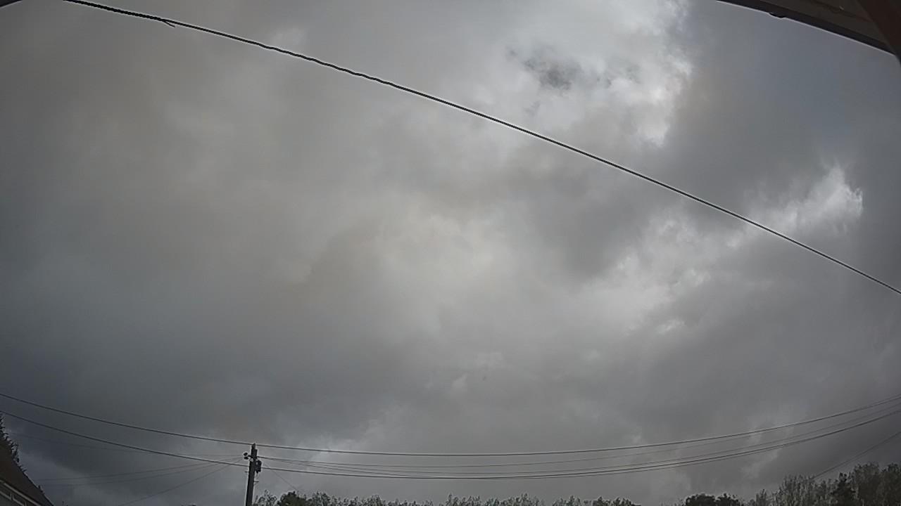 20260819_085410_cam2.jpg
