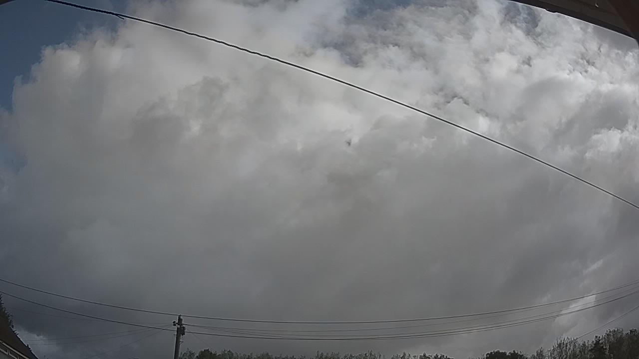 20260819_085828_cam2.jpg