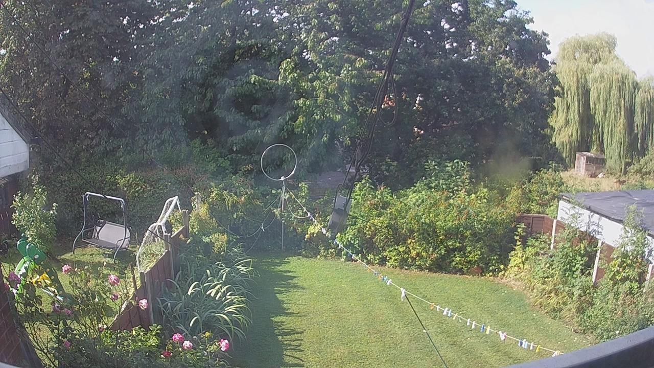 20260819_090245_cam1.jpg