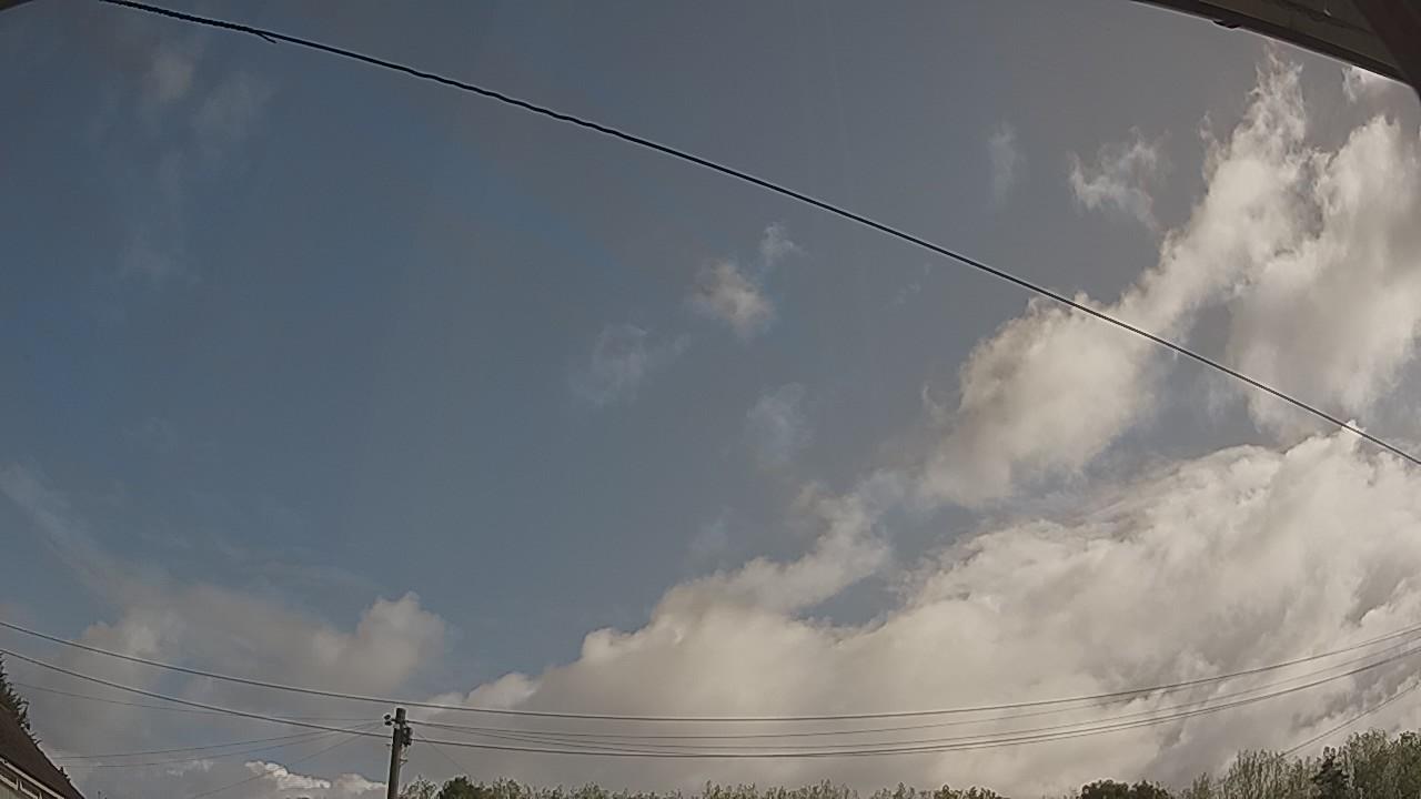 20260819_090704_cam2.jpg