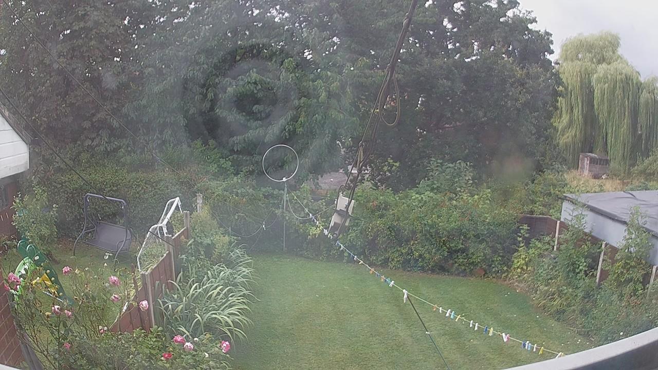 20260819_091539_cam1.jpg