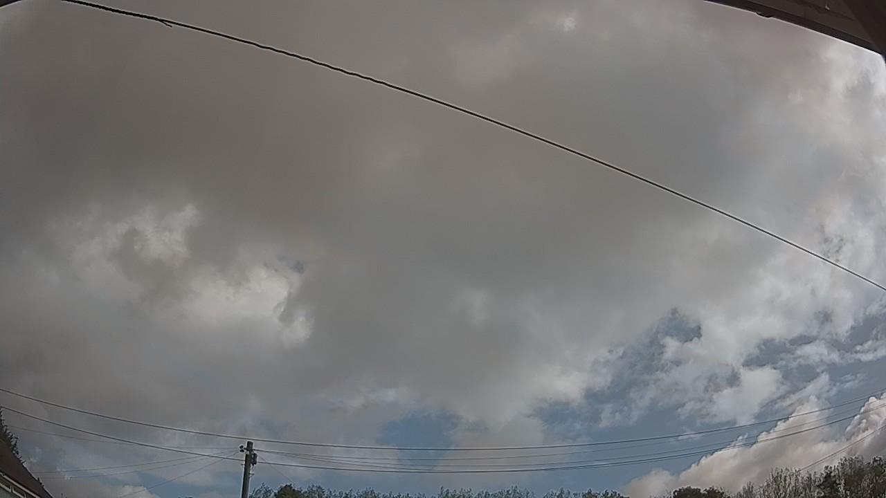 20260819_091958_cam2.jpg