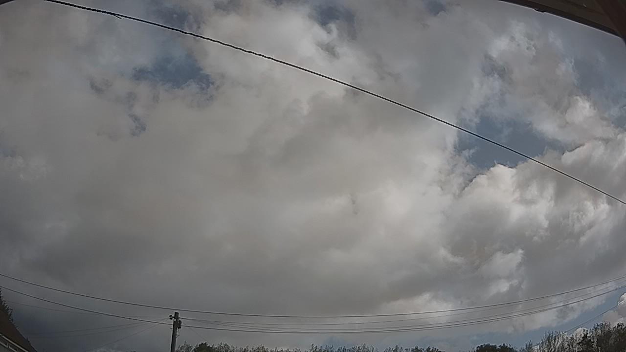 20260819_092416_cam2.jpg
