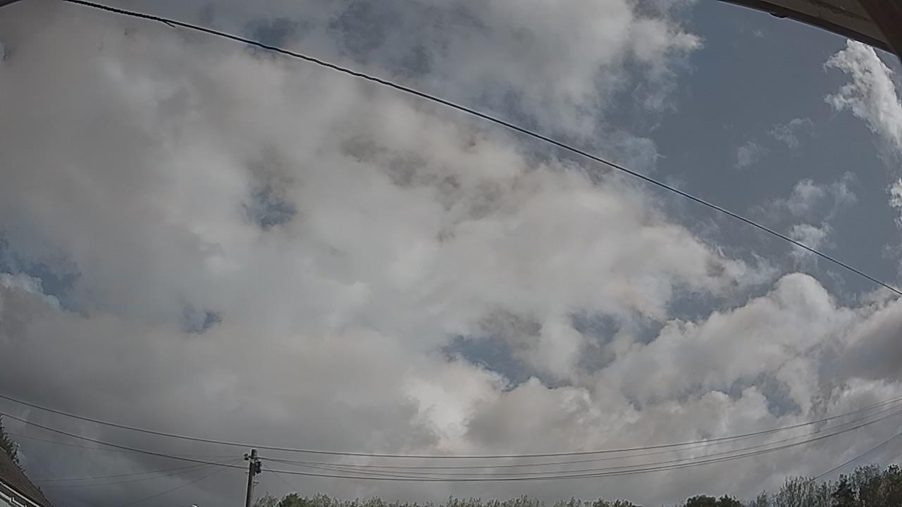 20260819_092825_cam2.jpg