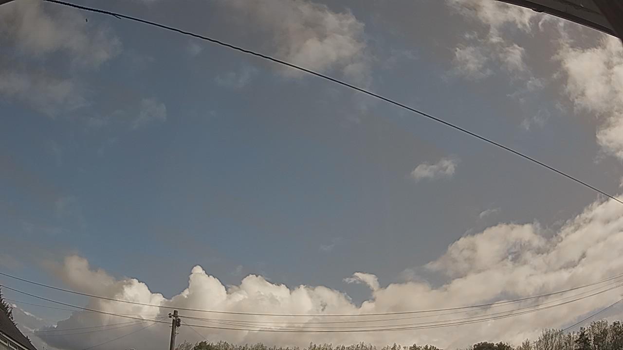 20260819_094051_cam2.jpg