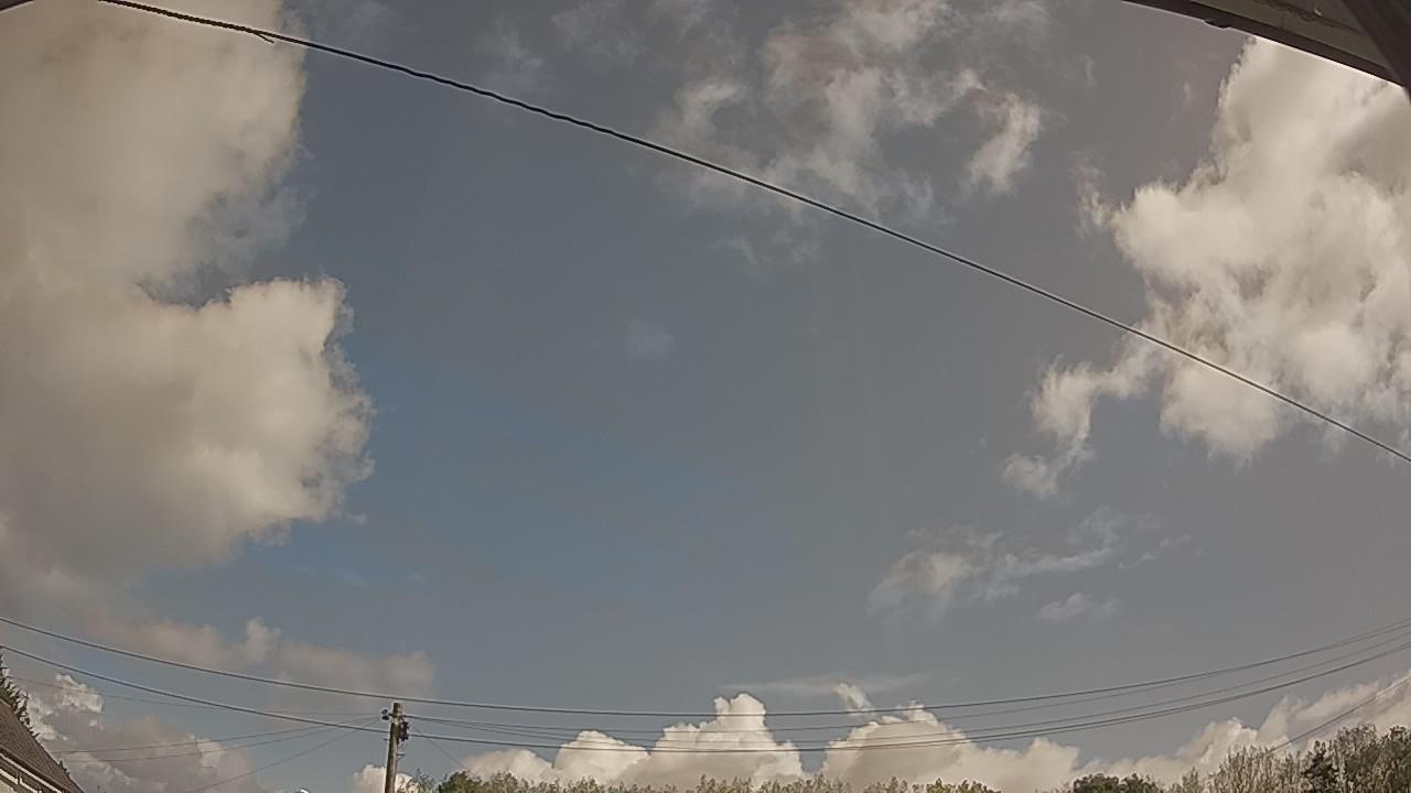 20260819_094500_cam2.jpg