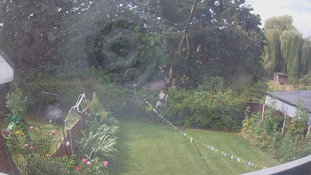 20260819_100131_cam1.jpg