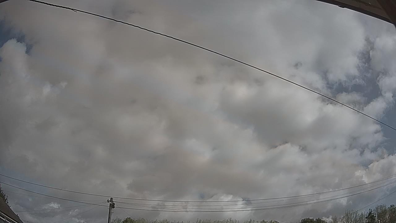 20260819_100132_cam2.jpg