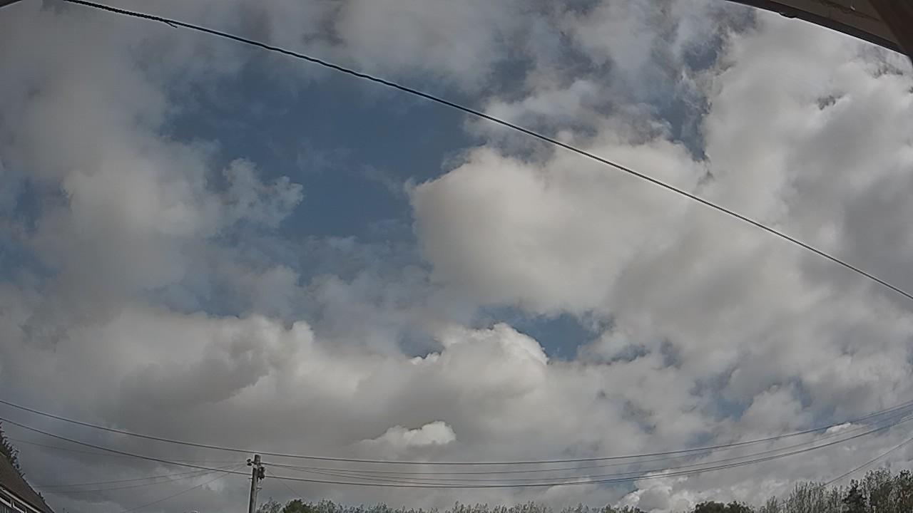 20260819_100540_cam2.jpg