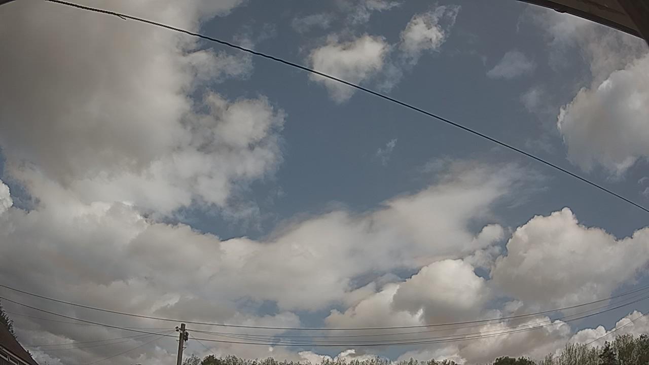 20260819_105119_cam2.jpg