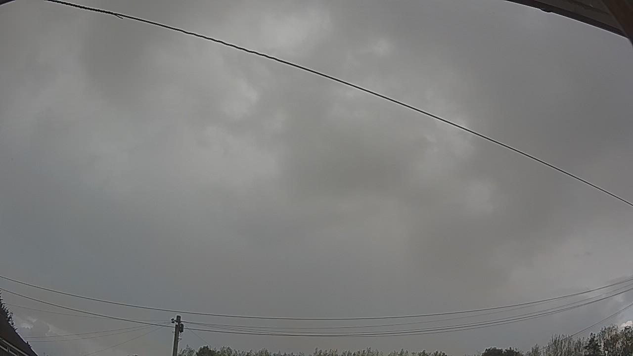 20260819_114706_cam2.jpg