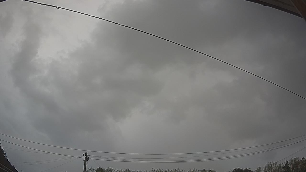 20260819_115124_cam2.jpg