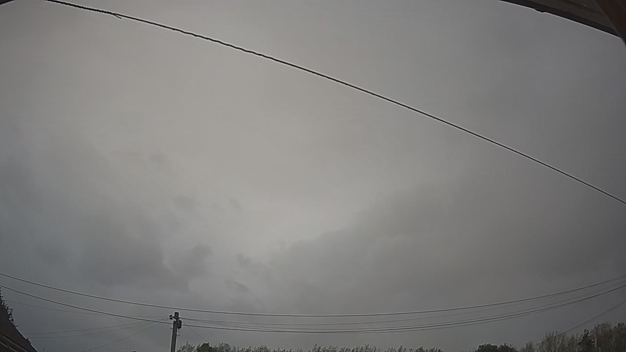 20260819_115541_cam2.jpg