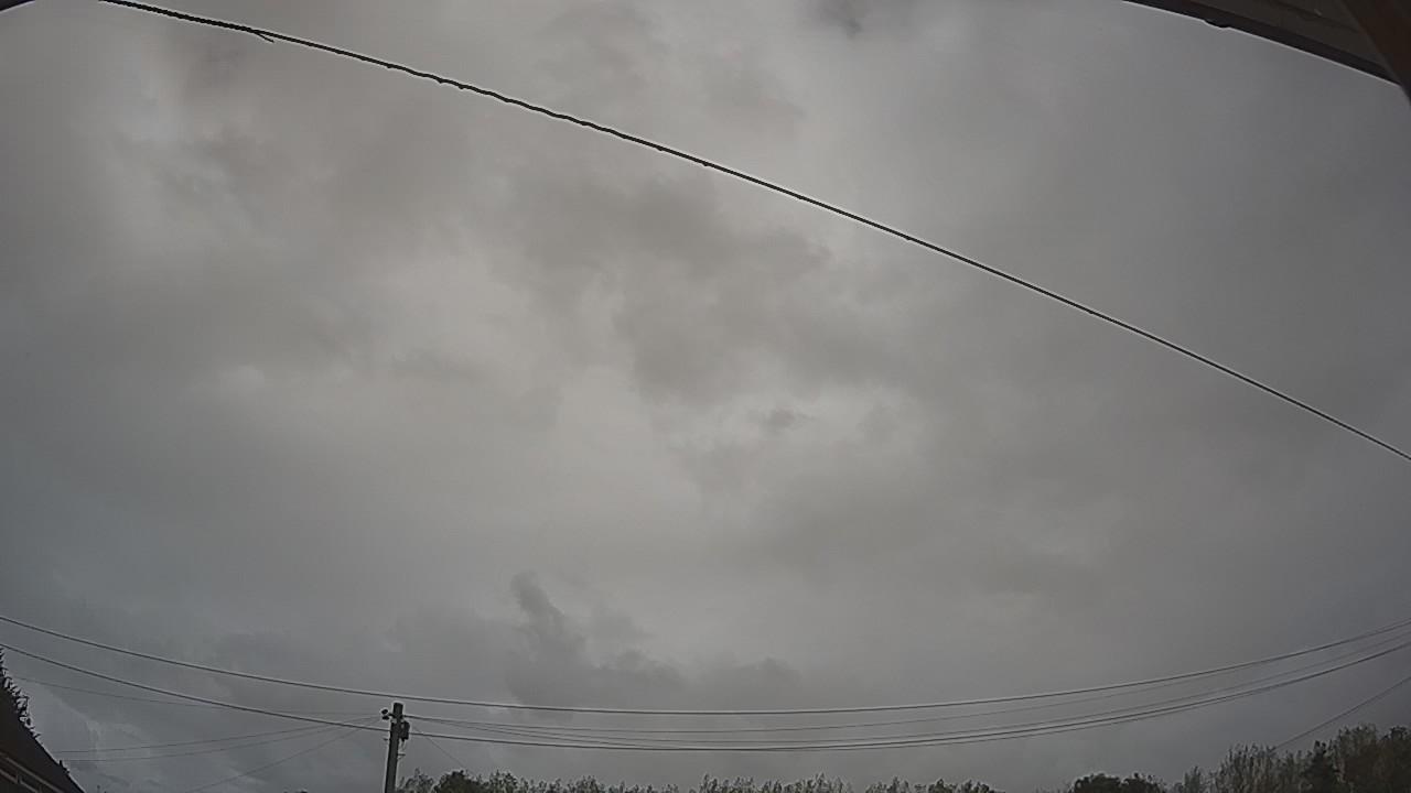 20260819_120304_cam2.jpg