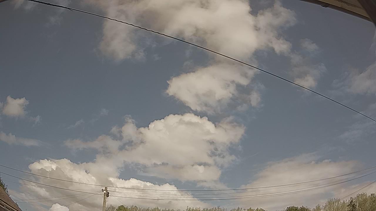 20260819_125104_cam2.jpg