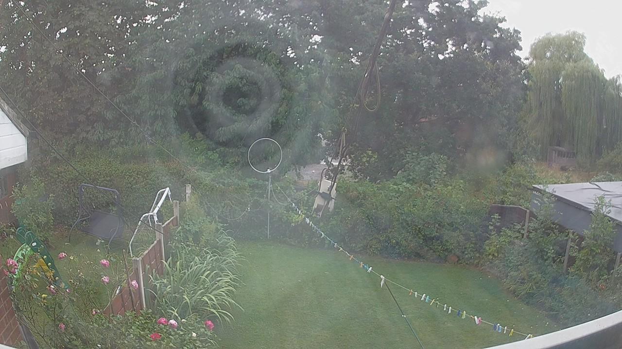 20260819_131156_cam1.jpg