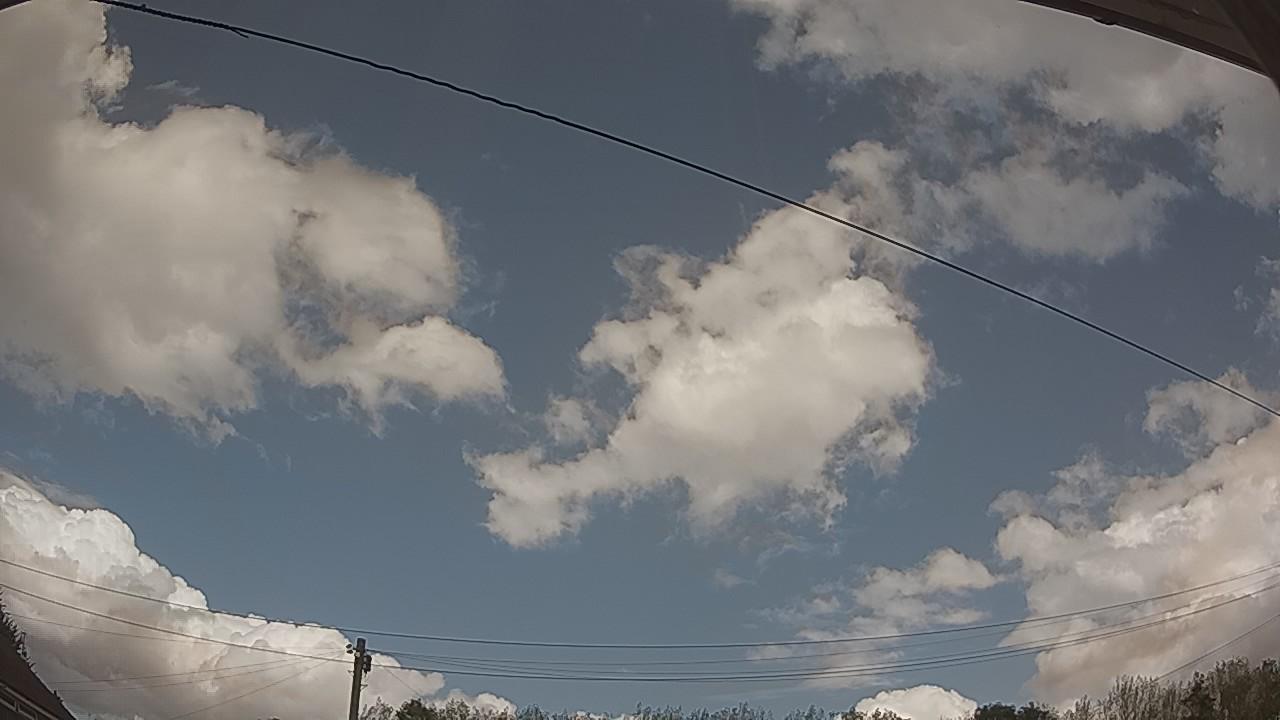 20260819_131157_cam2.jpg