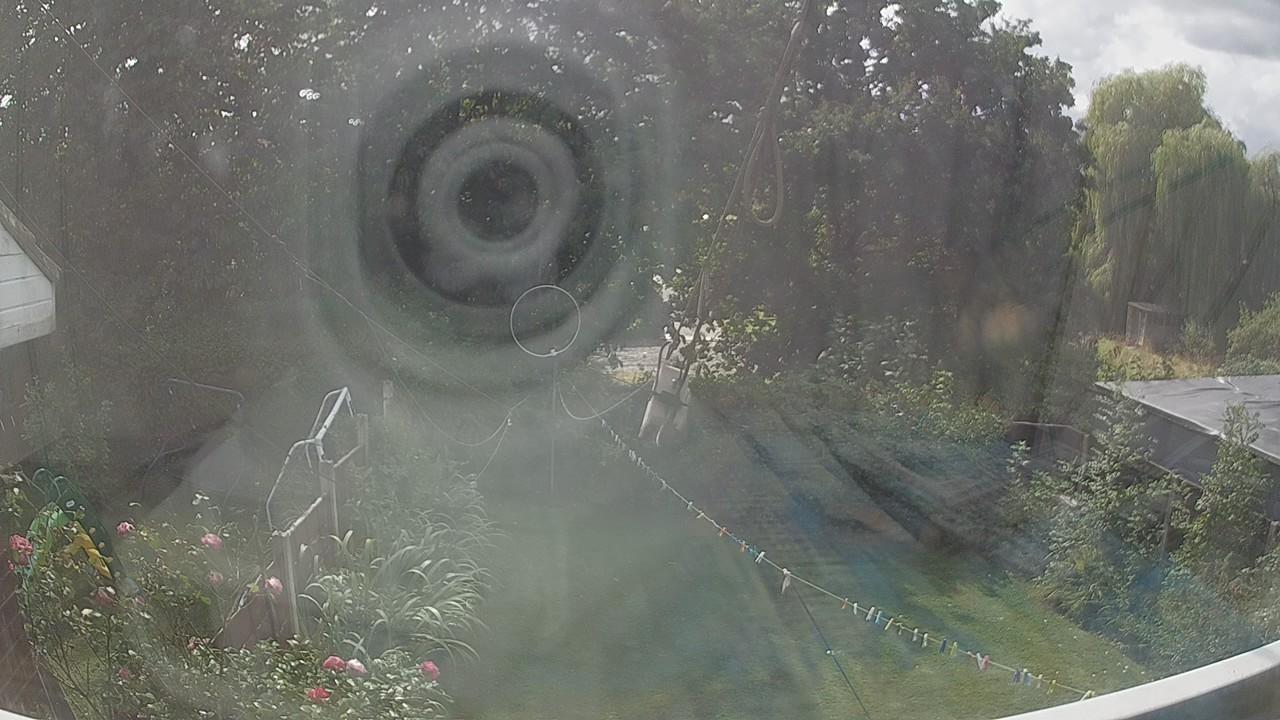 20260819_133308_cam1.jpg