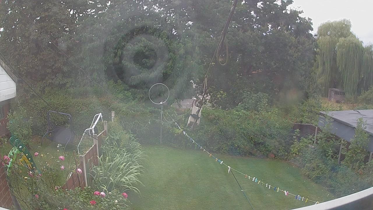 20260819_133717_cam1.jpg