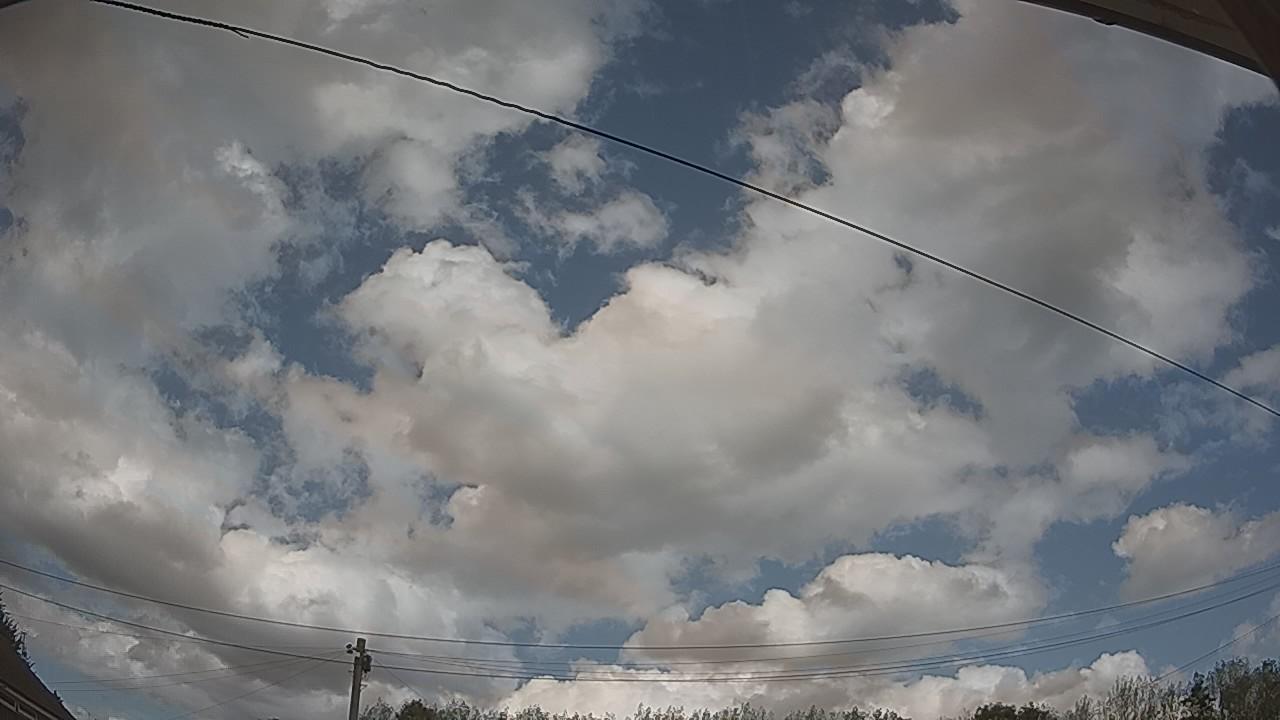 20260819_133718_cam2.jpg