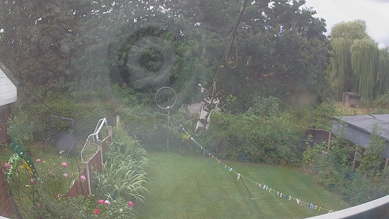20260819_134126_cam1.jpg