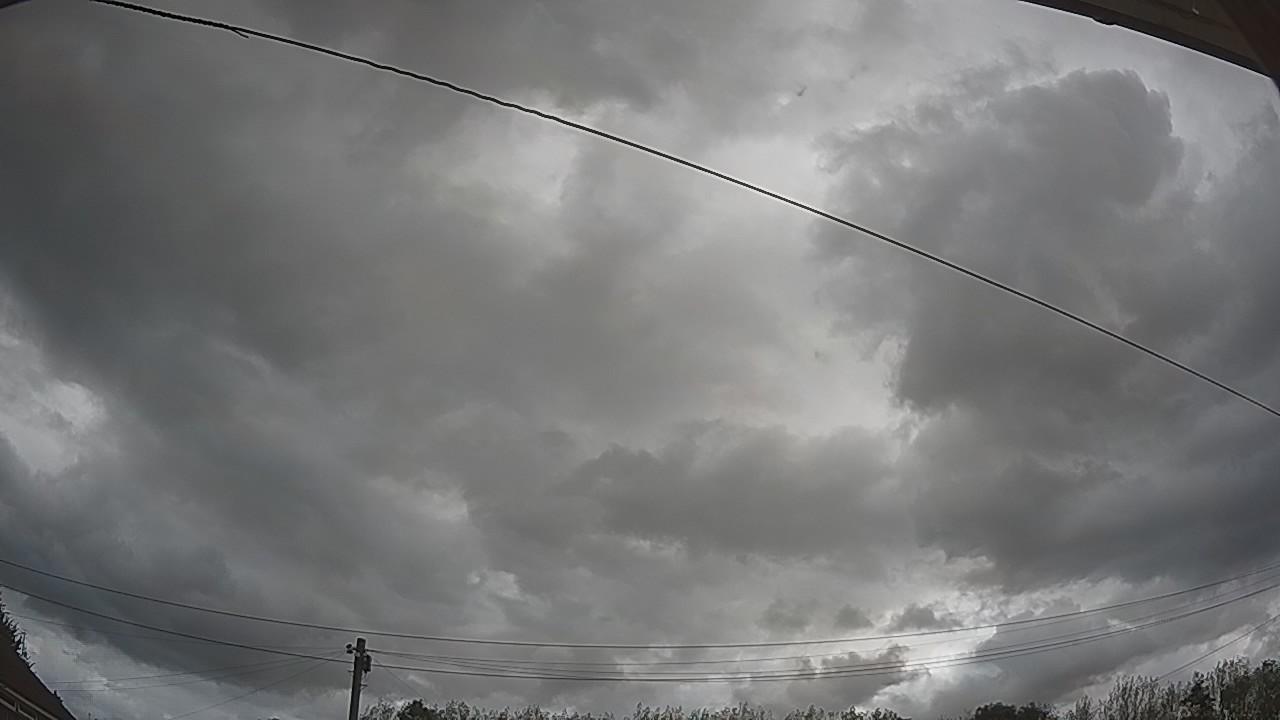 20260819_135354_cam2.jpg