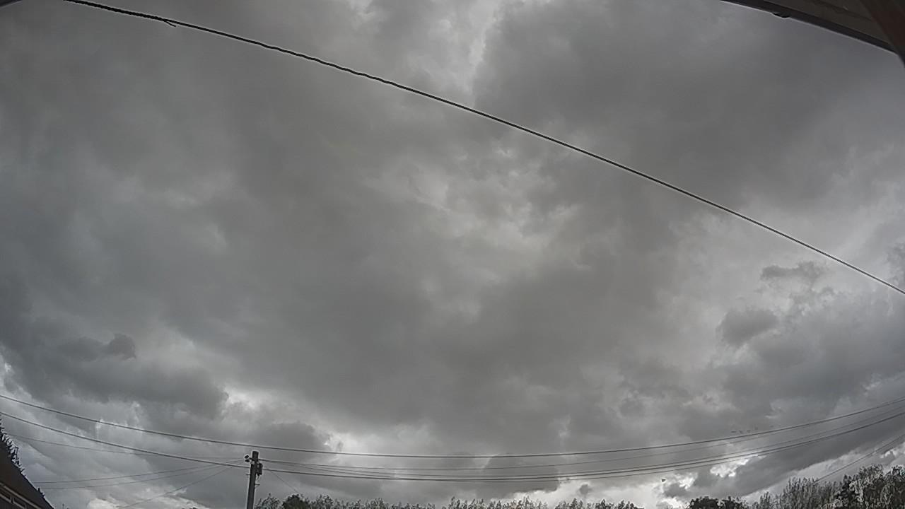 20260819_135803_cam2.jpg