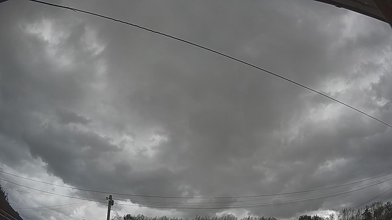 20260819_140145_cam2.jpg