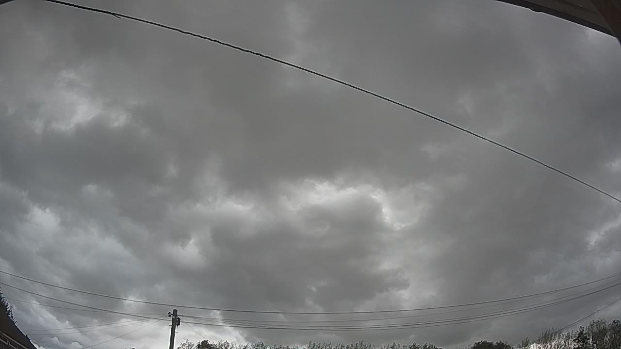 20260819_140526_cam2.jpg