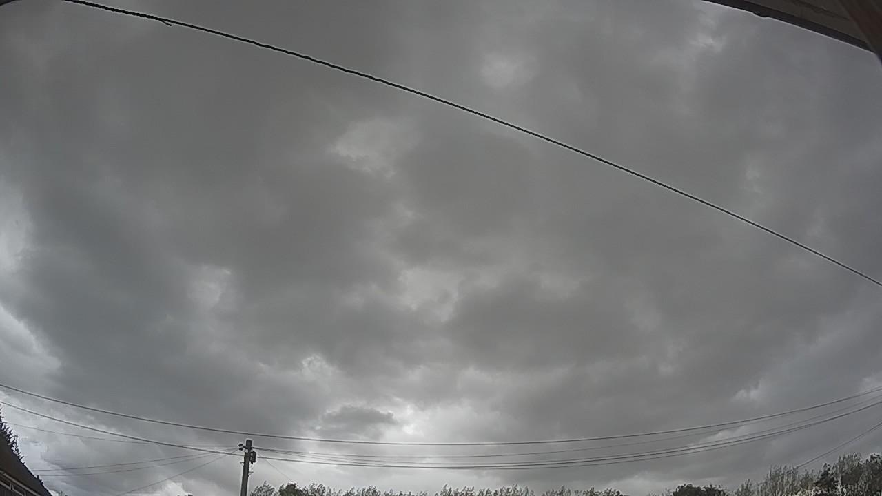 20260819_140908_cam2.jpg