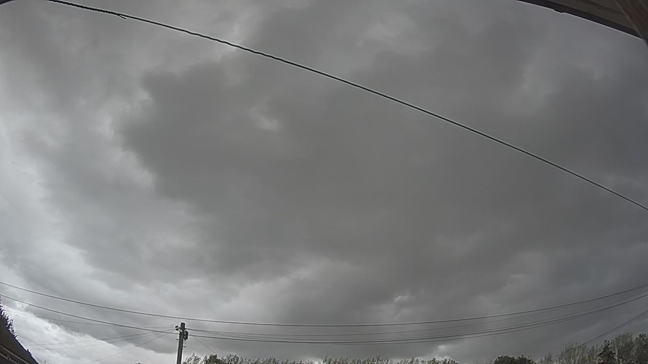 20260819_141250_cam2.jpg
