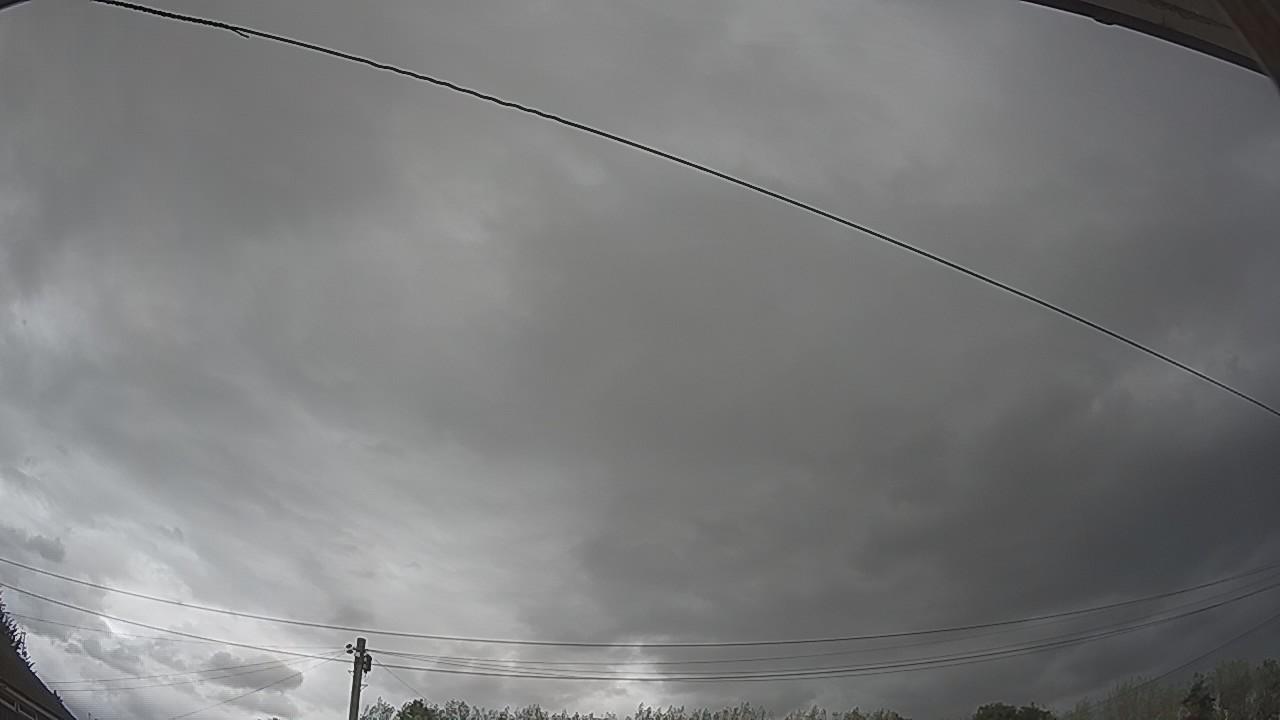 20260819_141632_cam2.jpg