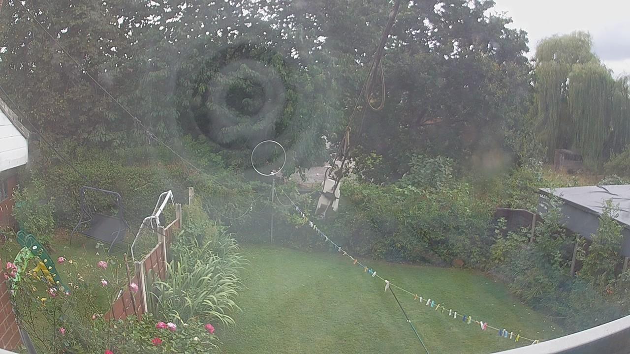20260819_142013_cam1.jpg