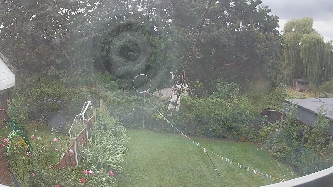 20260819_142355_cam1.jpg