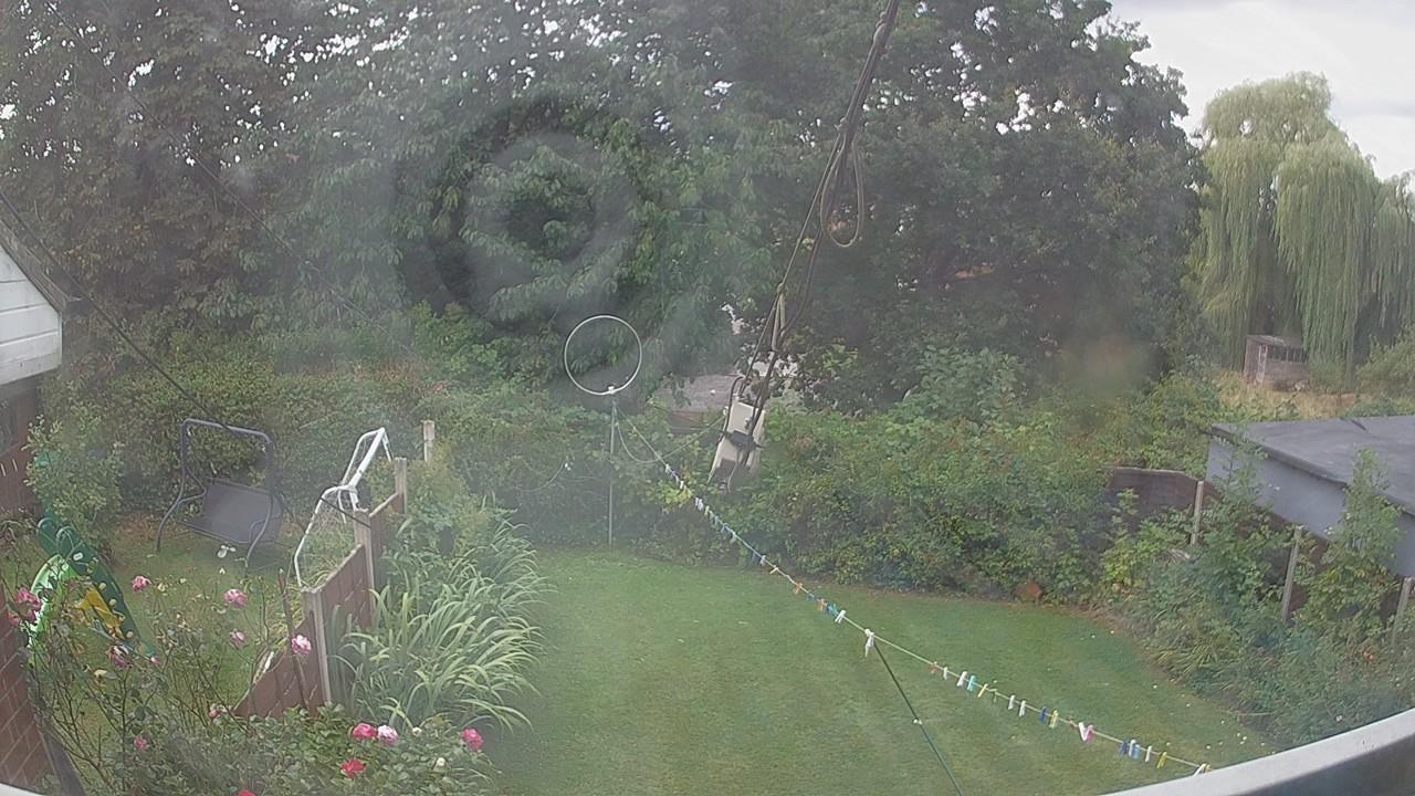 20260819_142736_cam1.jpg