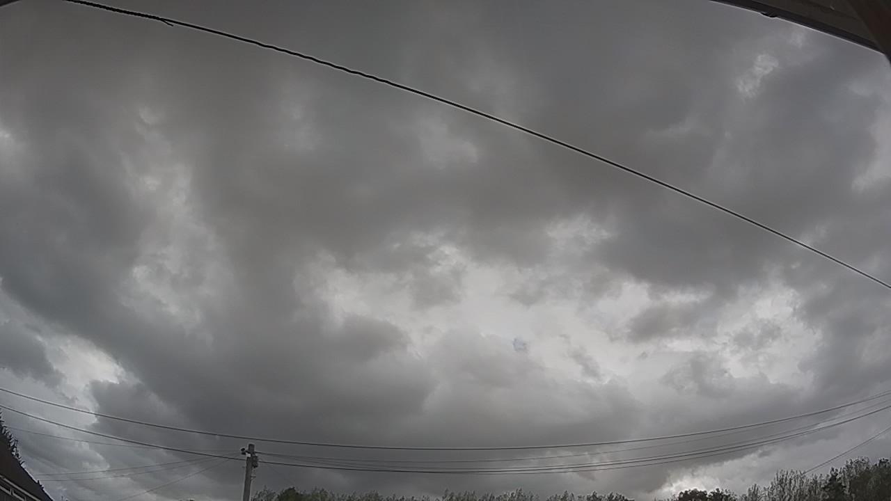 20260819_143146_cam2.jpg