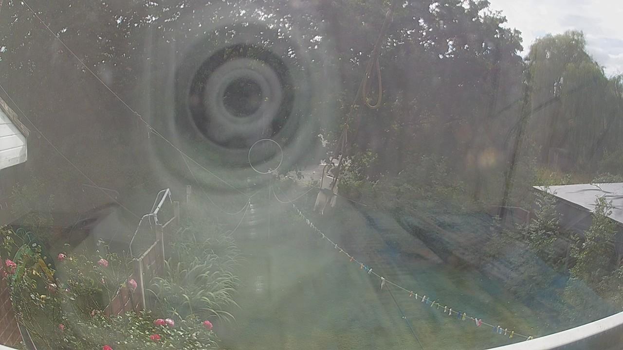20260819_145229_cam1.jpg