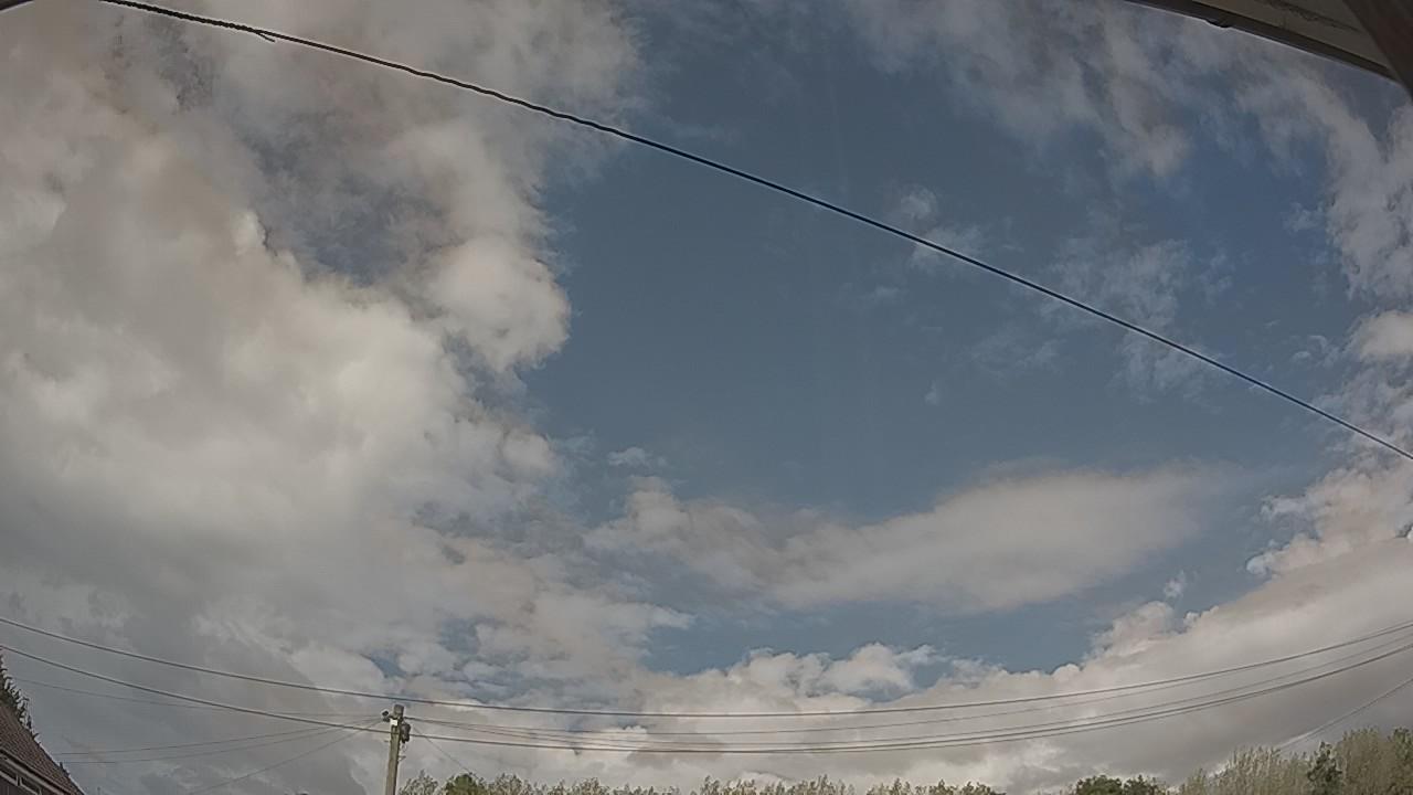 20260819_145230_cam2.jpg