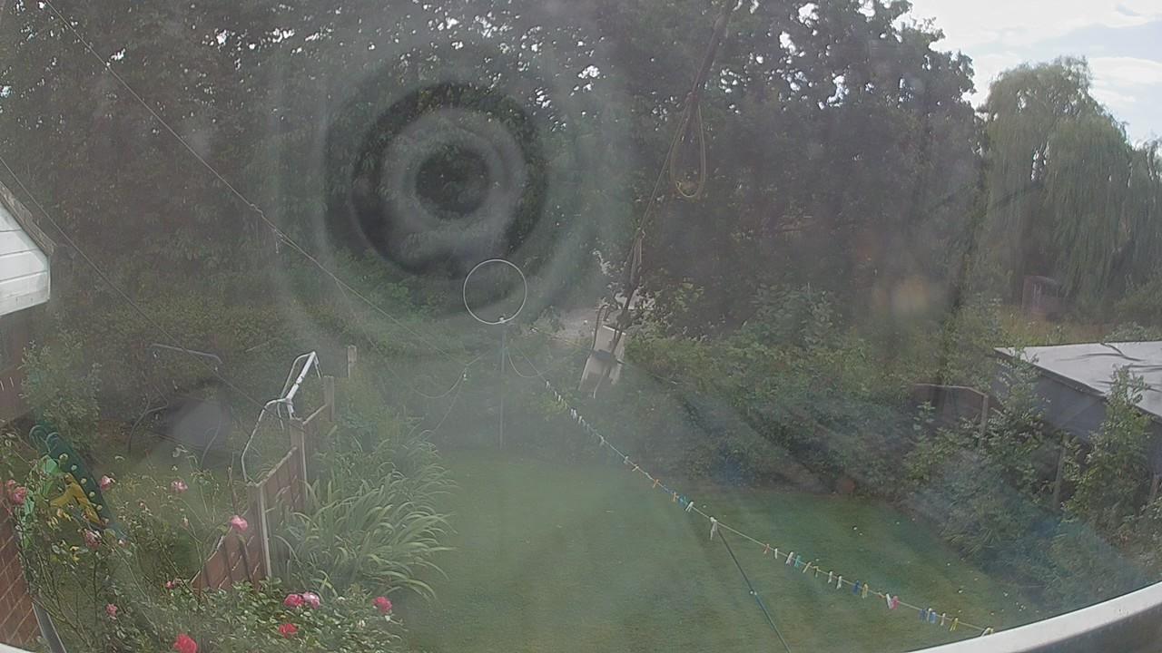 20260819_150743_cam1.jpg