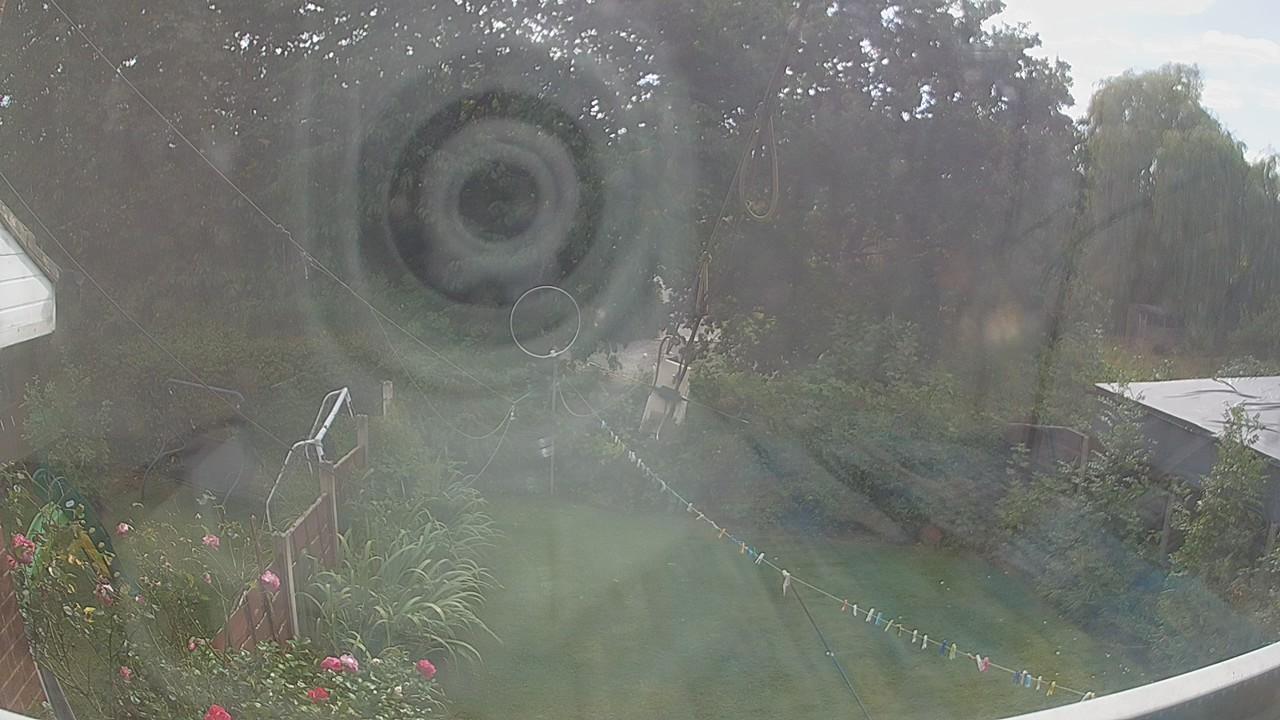 20260819_151125_cam1.jpg