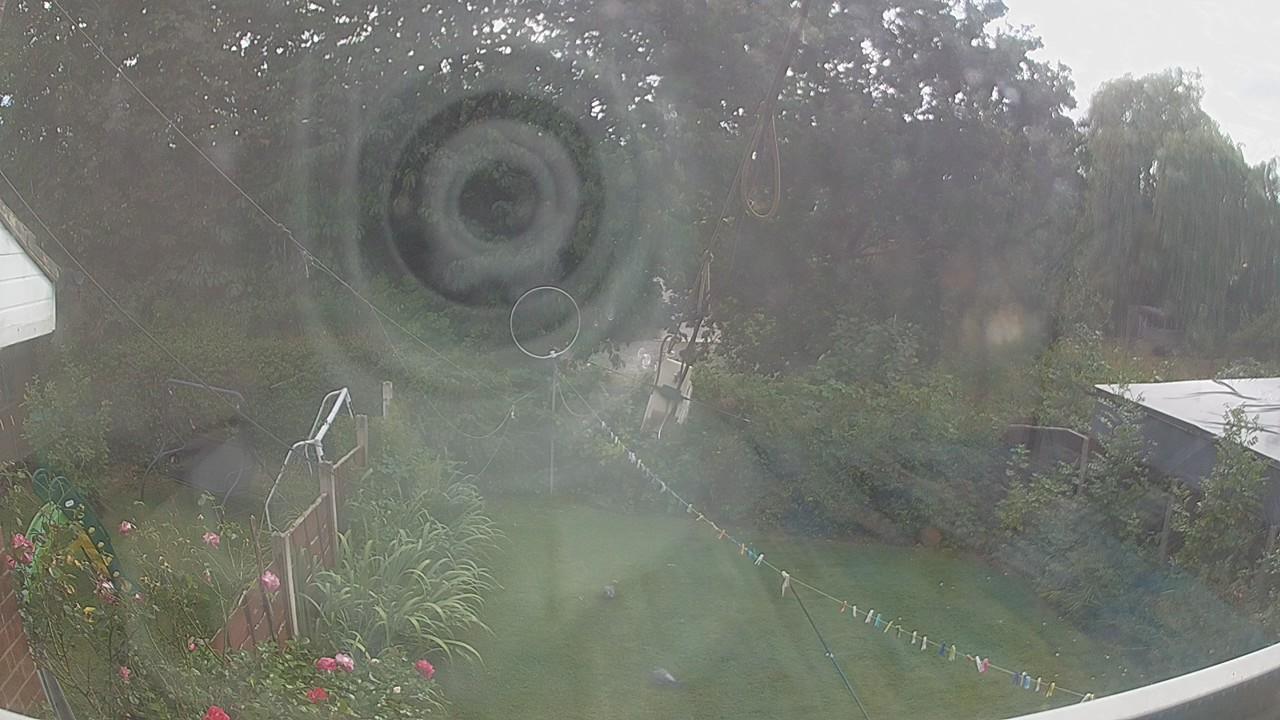 20260819_155207_cam1.jpg