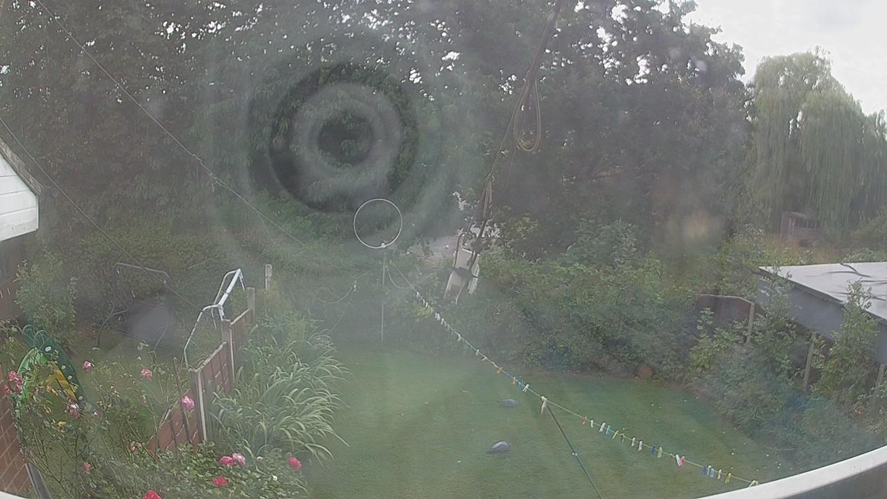 20260819_155549_cam1.jpg