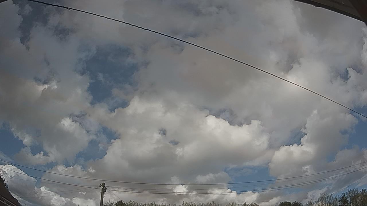 20260819_155550_cam2.jpg