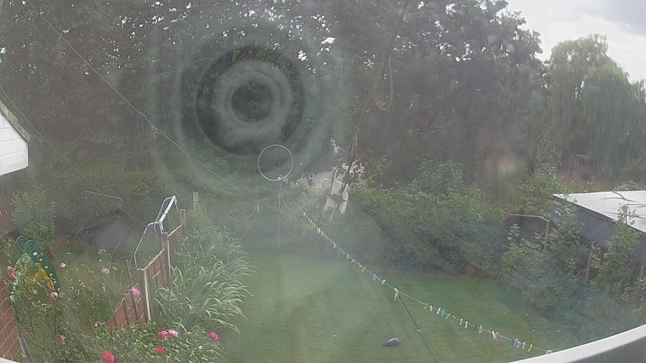 20260819_160313_cam1.jpg