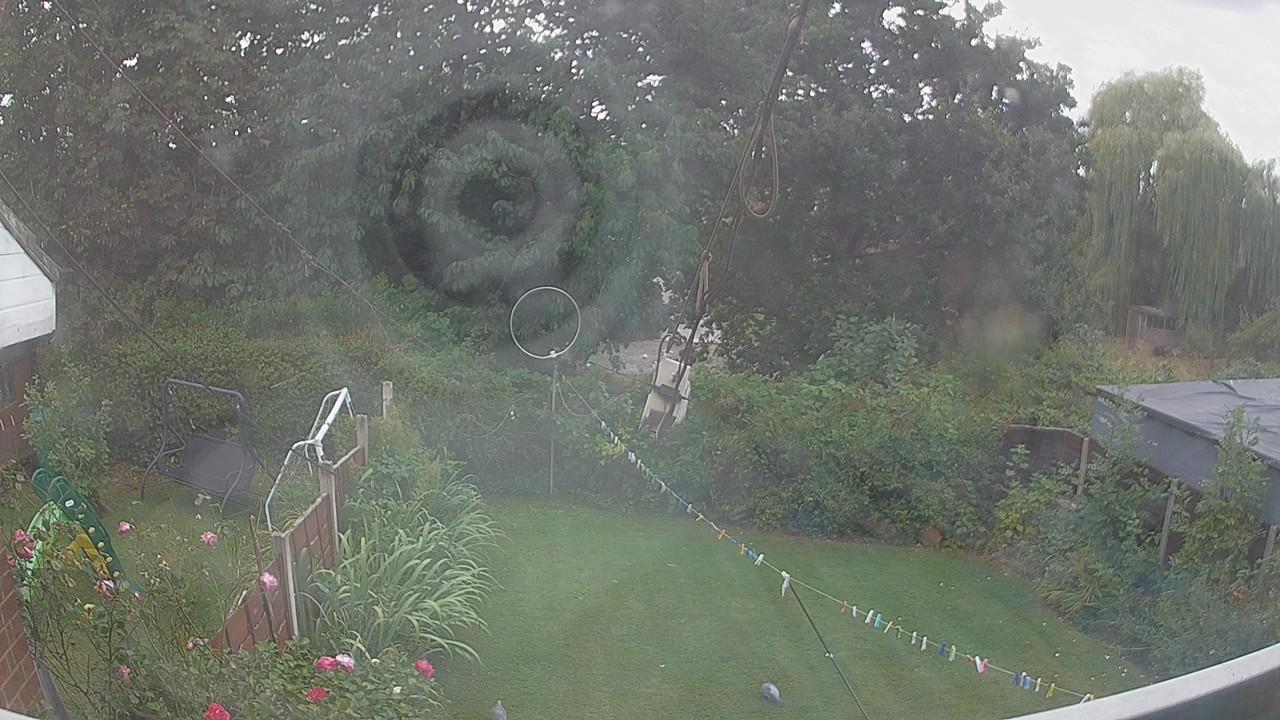 20260819_160655_cam1.jpg