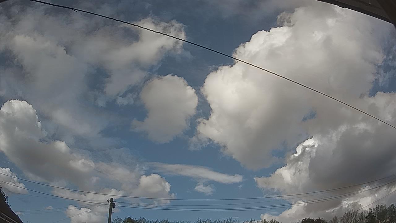 20260819_161039_cam2.jpg