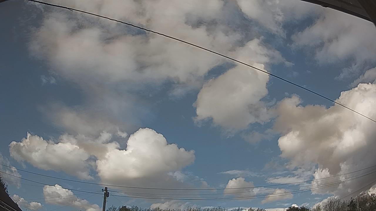 20260819_161421_cam2.jpg